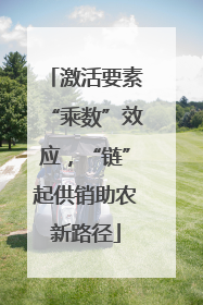 激活要素“乘数”效应，“链”起供销助农新路径