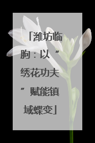 潍坊临朐：以“绣花功夫”赋能镇域蝶变