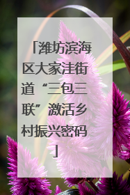 潍坊滨海区大家洼街道“三包三联”激活乡村振兴密码