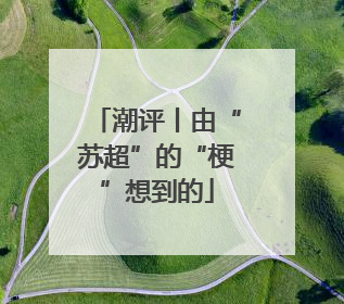 潮评丨由“苏超”的“梗”想到的