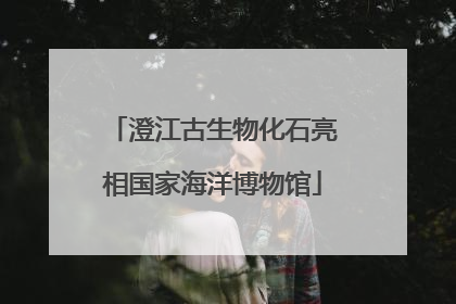 澄江古生物化石亮相国家海洋博物馆