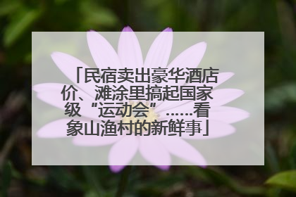 民宿卖出豪华酒店价、滩涂里搞起国家级“运动会”……看象山渔村的新鲜事