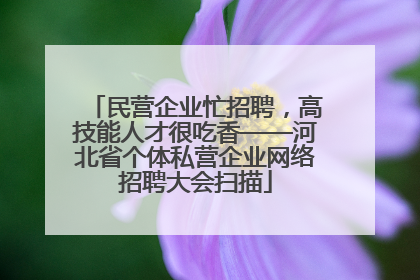 民营企业忙招聘，高技能人才很吃香——河北省个体私营企业网络招聘大会扫描