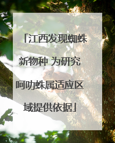 江西发现蜘蛛新物种 为研究呵叻蛛属适应区域提供依据
