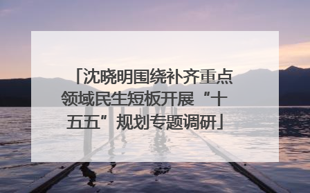 沈晓明围绕补齐重点领域民生短板开展“十五五”规划专题调研