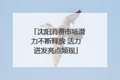 沈阳消费市场潜力不断释放 活力迸发亮点频现