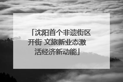 沈阳首个非遗街区开街 文旅新业态激活经济新动能