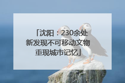 沈阳：230余处新发现不可移动文物重现城市记忆