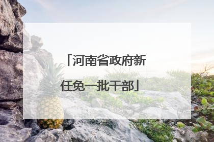 河南省政府新任免一批干部