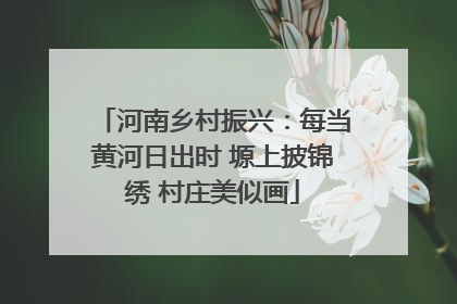 河南乡村振兴：每当黄河日出时 塬上披锦绣 村庄美似画