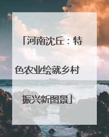 河南沈丘：特色农业绘就乡村振兴新图景