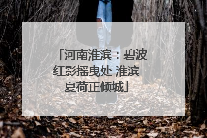 河南淮滨：碧波红影摇曳处 淮滨夏荷正倾城