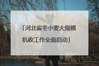 河北省冬小麦大规模机收工作全面启动