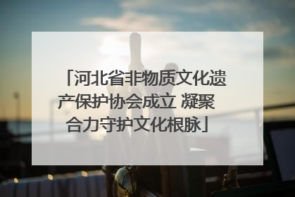 河北省非物质文化遗产保护协会成立 凝聚合力守护文化根脉