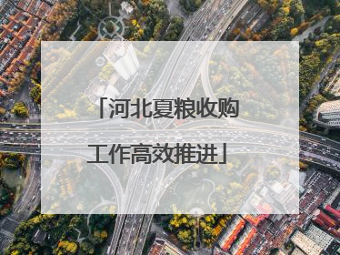 河北夏粮收购工作高效推进
