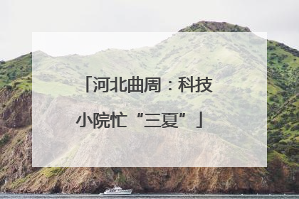 河北曲周：科技小院忙“三夏”