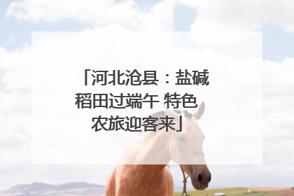 河北沧县：盐碱稻田过端午 特色农旅迎客来