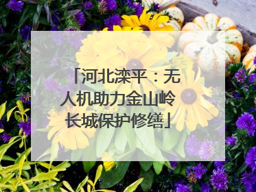 河北滦平：无人机助力金山岭长城保护修缮