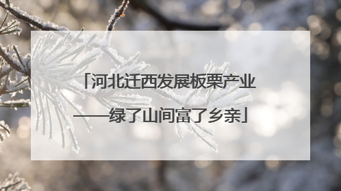 河北迁西发展板栗产业——绿了山间富了乡亲