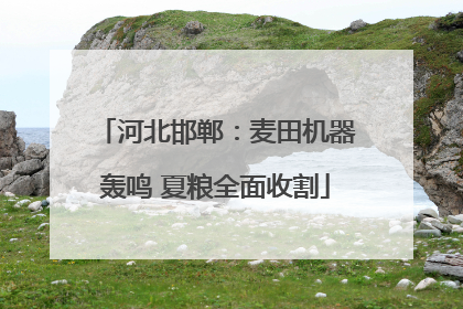 河北邯郸：麦田机器轰鸣 夏粮全面收割