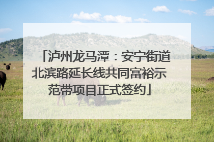 泸州龙马潭：安宁街道北滨路延长线共同富裕示范带项目正式签约