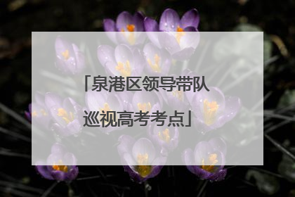 泉港区领导带队巡视高考考点