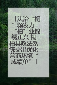 法治“桐”频发力 “柏”业锦绣正兴 桐柏县政法系统交出优化营商环境“成绩单”