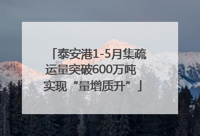 泰安港1-5月集疏运量突破600万吨 实现“量增质升”