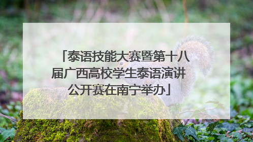 泰语技能大赛暨第十八届广西高校学生泰语演讲公开赛在南宁举办