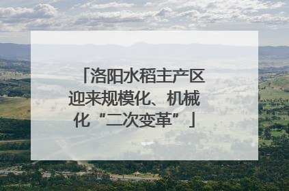 洛阳水稻主产区迎来规模化、机械化“二次变革”