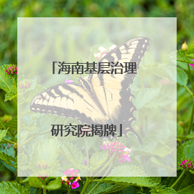 海南基层治理研究院揭牌