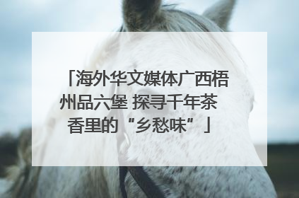 海外华文媒体广西梧州品六堡 探寻千年茶香里的“乡愁味”