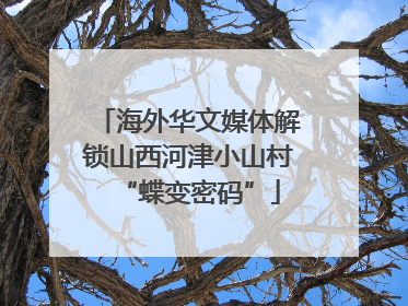 海外华文媒体解锁山西河津小山村“蝶变密码”