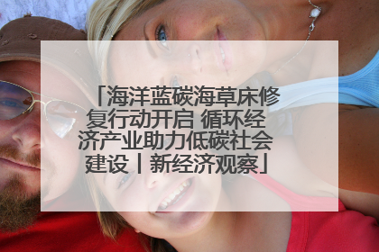 海洋蓝碳海草床修复行动开启 循环经济产业助力低碳社会建设丨新经济观察