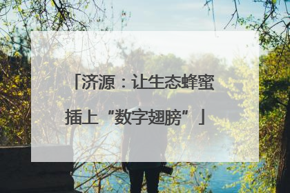 济源：让生态蜂蜜插上“数字翅膀”