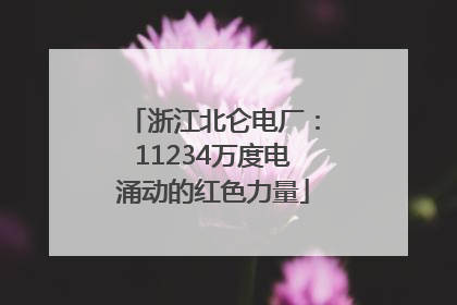 浙江北仑电厂：11234万度电涌动的红色力量
