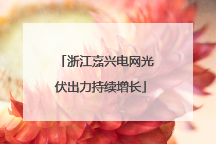 浙江嘉兴电网光伏出力持续增长