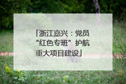 浙江嘉兴：党员“红色专班”护航重大项目建设
