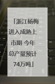 浙江杨梅进入成熟上市期 今年总产量预计74万吨