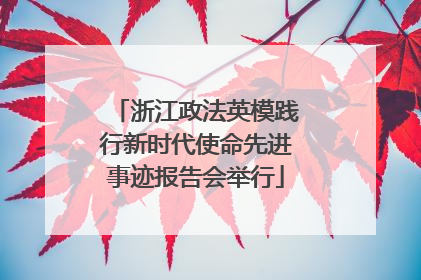 浙江政法英模践行新时代使命先进事迹报告会举行