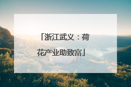 浙江武义：荷花产业助致富