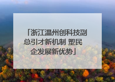 浙江温州创科技副总引才新机制 塑民企发展新优势