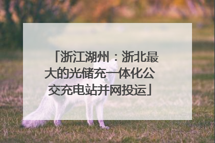 浙江湖州：浙北最大的光储充一体化公交充电站并网投运