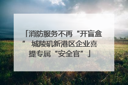 消防服务不再“开盲盒” 城陵矶新港区企业喜提专属“安全官”