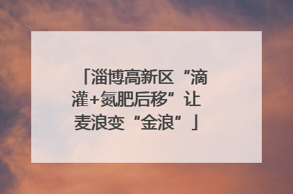 淄博高新区“滴灌+氮肥后移”让麦浪变“金浪”