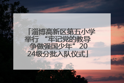 淄博高新区第五小学举行 “牢记党的教导 争做强国少年”2024级分批入队仪式