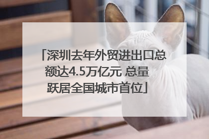 深圳去年外贸进出口总额达4.5万亿元 总量跃居全国城市首位