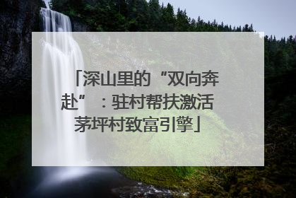 深山里的“双向奔赴”：驻村帮扶激活茅坪村致富引擎