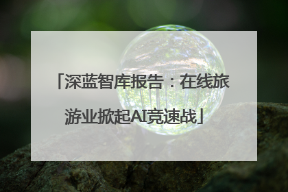 深蓝智库报告：在线旅游业掀起AI竞速战