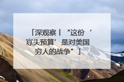 深观察丨“这份‘寡头预算’是对美国穷人的战争”